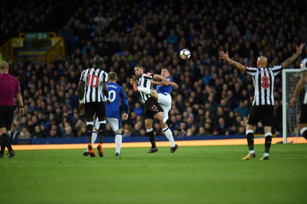 性极强的对 性极强的对