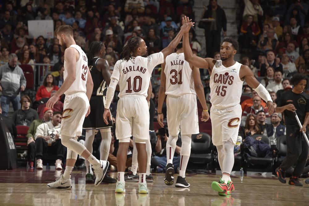 河谷毒蛇队 河谷毒蛇队